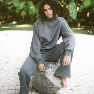 Parke Stormy Turtleneck Sweatshirt